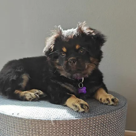 דירה Skovby Ved *